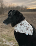 Yeehaw Bandana