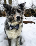 Pet Bow Tie