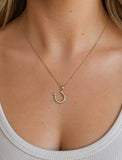 Horseshoe Necklace