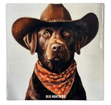 Dog Cowboy Coasters