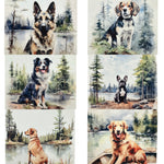 Dog Coasters