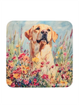 Lab Coaster