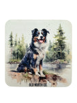 Dog Coasters