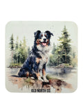 Dog Coasters