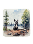 Dog Coasters