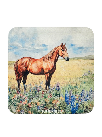 Horse Coaster