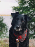 Buffalo Maple Leaf Bandana - Charcoal