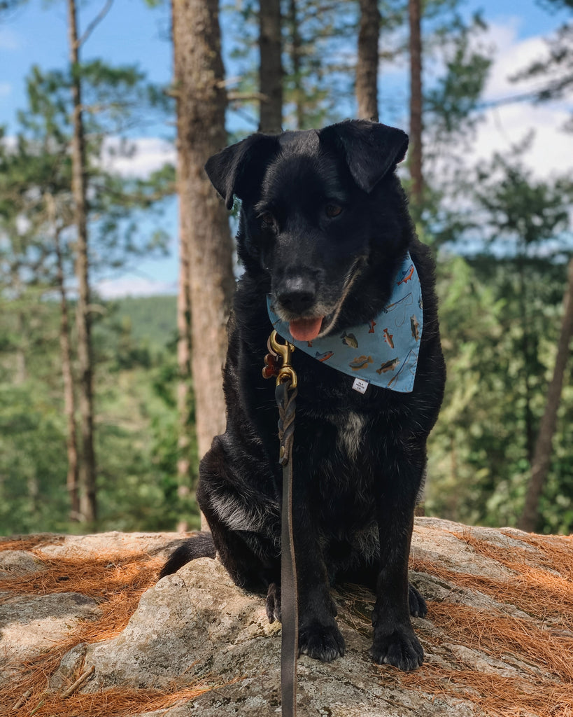 Gone Fishing Bandana – Old North Co.