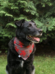 Buffalo Maple Leaf Bandana - Charcoal