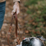 Brown Leather Dog Leash