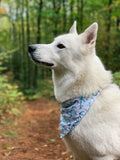 Anchors Aweigh Bandana