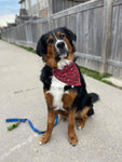 Canadian Plaid Bandana