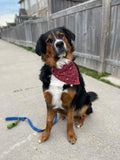 Canadian Plaid Bandana