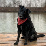 Canadian Plaid Bandana