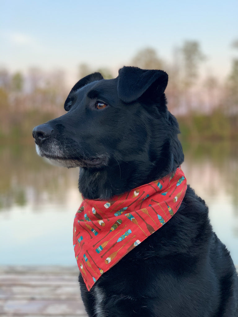 Paddle On Bandana – Old North Co.