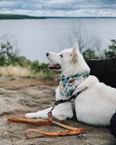 The Great Outdoors Bandana