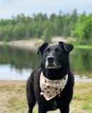 Cowboy Bandana
