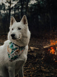 The Great Outdoors Bandana