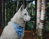 Anchors Aweigh Bandana