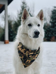 Camouflage Bandana