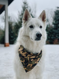 Camouflage Bandana
