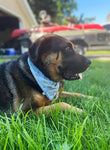 Gone Fishing Bandana