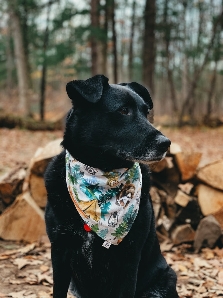 The Great Outdoors Bandana – Old North Co.