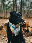 The Great Outdoors Bandana