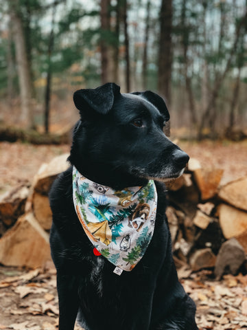 The Great Outdoors Bandana